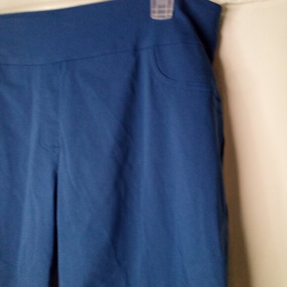 Ruby Rd Capri Pants Women 22W 22 Slimming Contour Waistband Blue - Picture 3 of 14